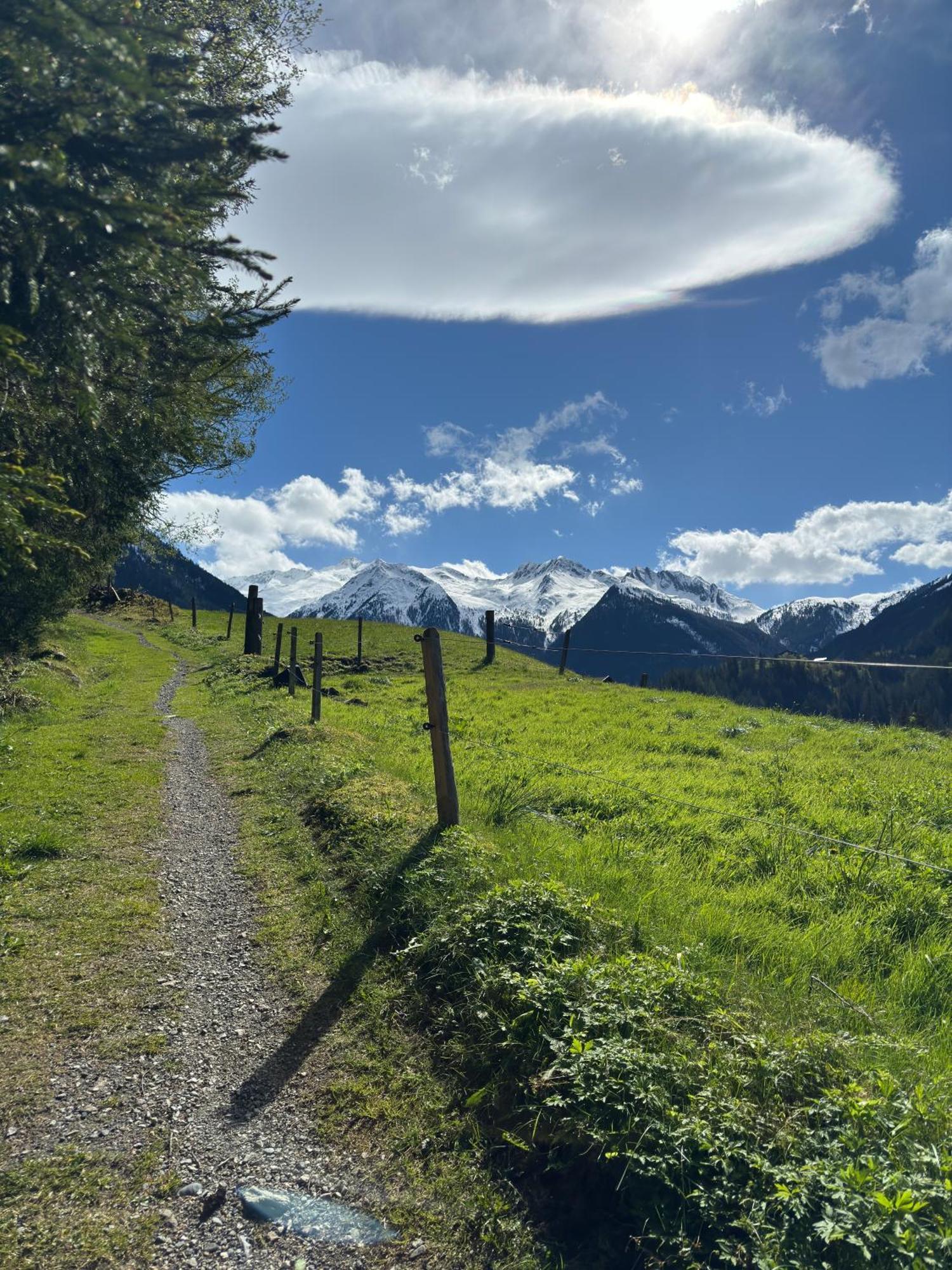 Apartment Waldherz Wald im Pinzgau Exterior foto